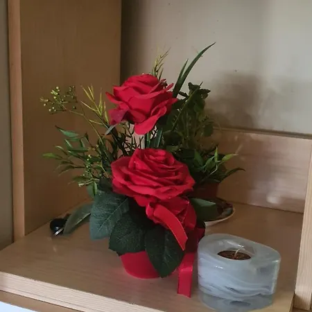 Viktorija * Подгорица